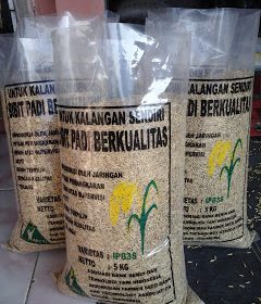 distributor beras Beras, jual beras, jual beras murah, jual beras merah murah, jual beras hitam, jual beras merah, jual beras hitam murah, jual beras lamongan, jual beras surabaya, jual beras gresik, jual beras sidoarjo, agen beras lamongan, agen beras surabaya, agen beras gresik, agen beras murah, agen beras sidoarjo, distributor beras, distributor beras murah, distributor beras lamongan, distributor beras surabaya, distributor beras gresik, distributor beras sidoarjo, jual beras merah, jual beras merah murah, jual beras hitam, jual beras hitam murah, jual bibit padi, jual beras cabe, jual beras apolo, jual beras raja lele, jual beras cabe