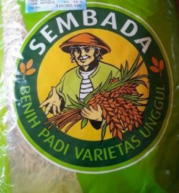 Benih padi hibrida simbada 686