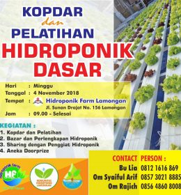 Pelatihan hidroponik