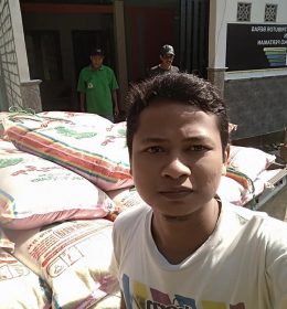 harga beras terbaru