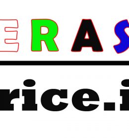 distributor beras kabupaten lamongan