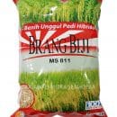 jual benih padi brang biji