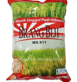 jual benih padi brang biji