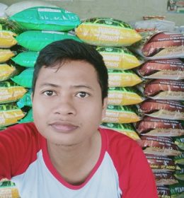 Jual Benih Padi di Makassar