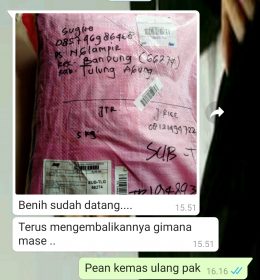 jual benih padi situbondo