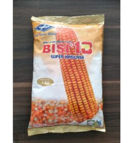 BISI 18