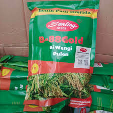 BENIH PADI B88GOLD